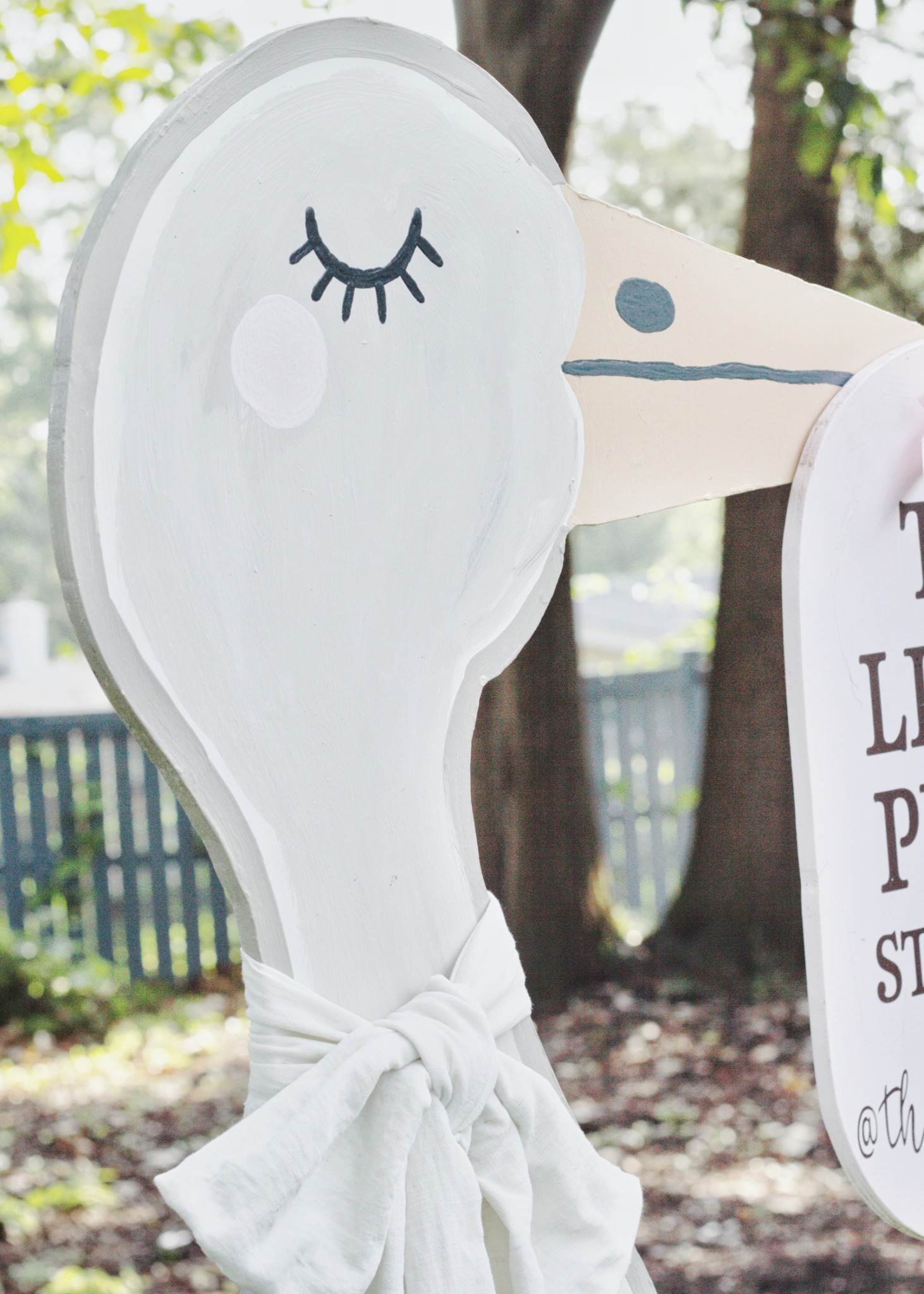 The Little Plume stork with the founders